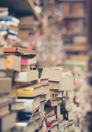 Buch Der Zauberfluch des Elfenk&ouml;nigs 